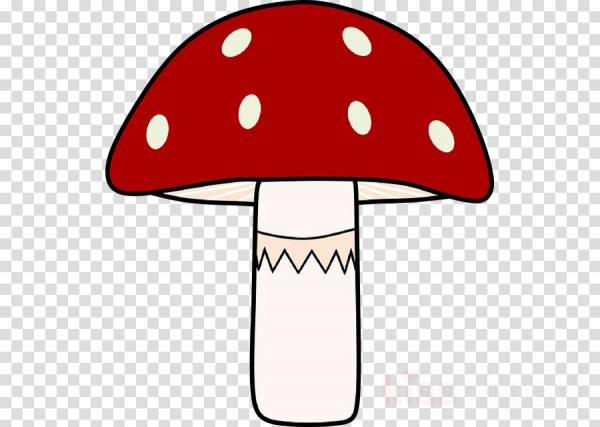 Мухомор для детей