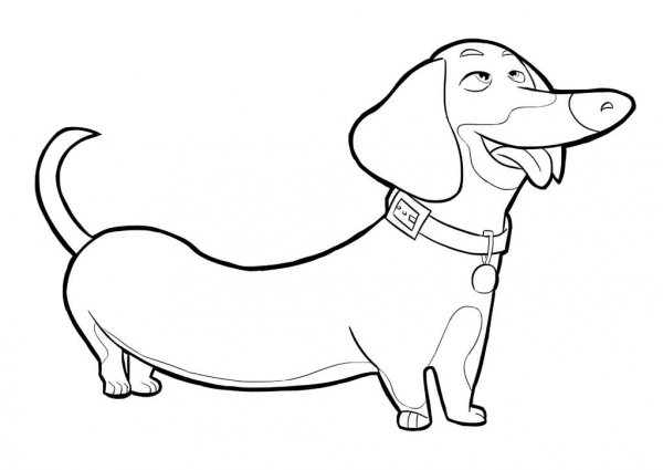 Раскраска собака такса