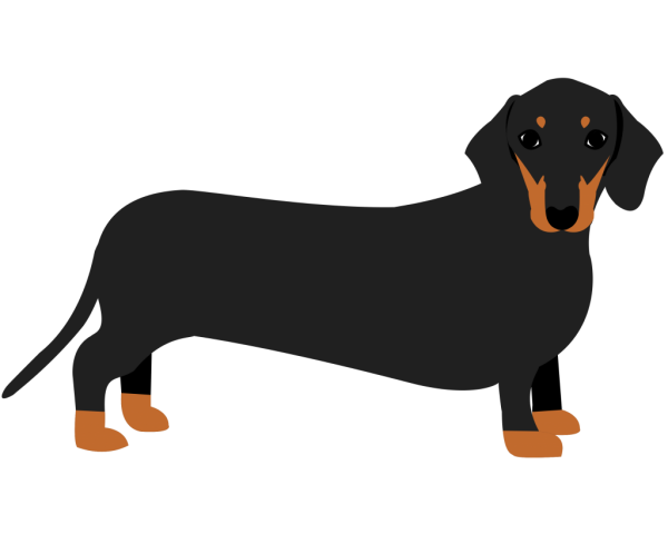 Такса рисунок