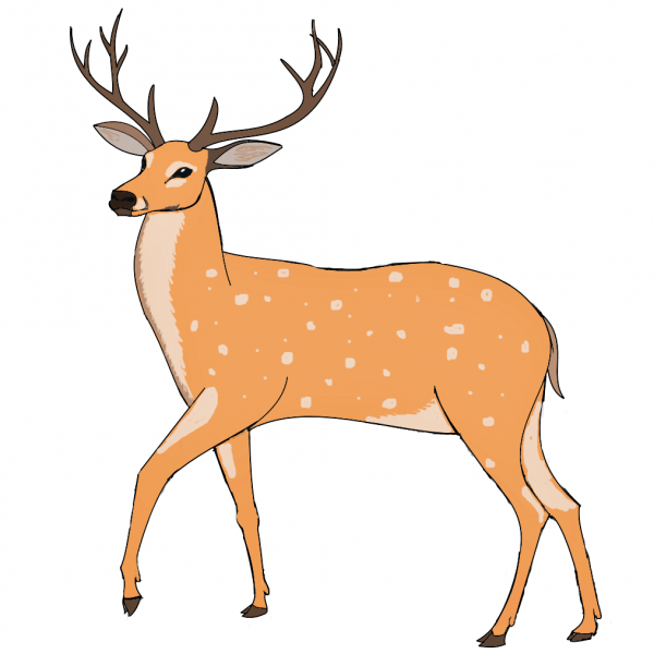 Олень на белом фоне