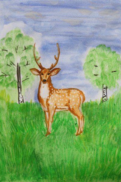 Олень рисунок детский