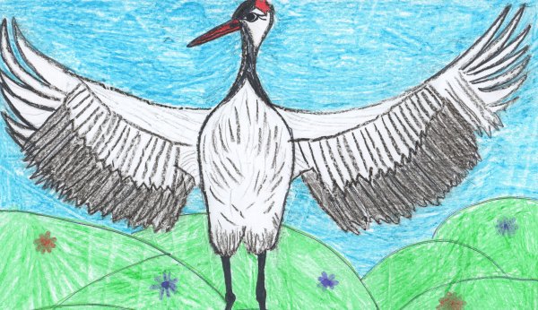 Журавль рисунок детский