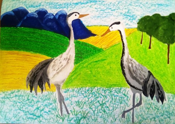 Журавль птица мира рисунок на конкурс