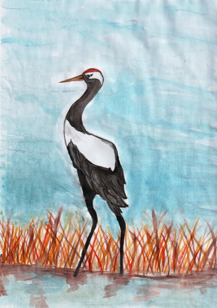 Журавль рисунок