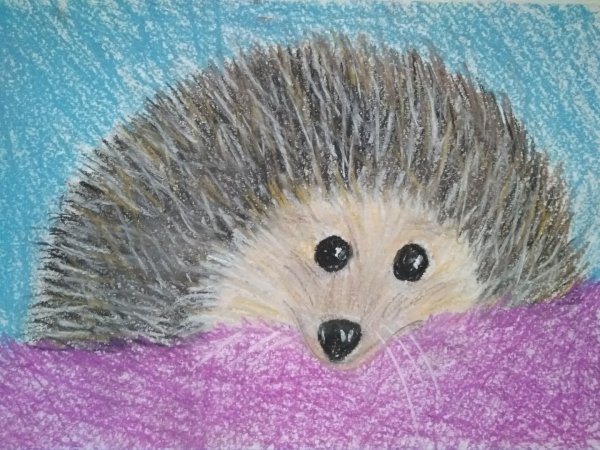 Ежик пастелью