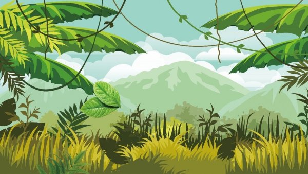 Джунгли Картун