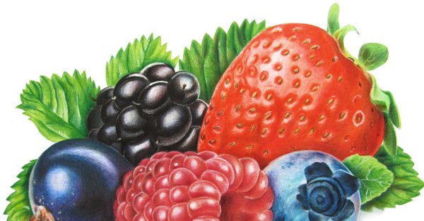 Изображение ягод для детей