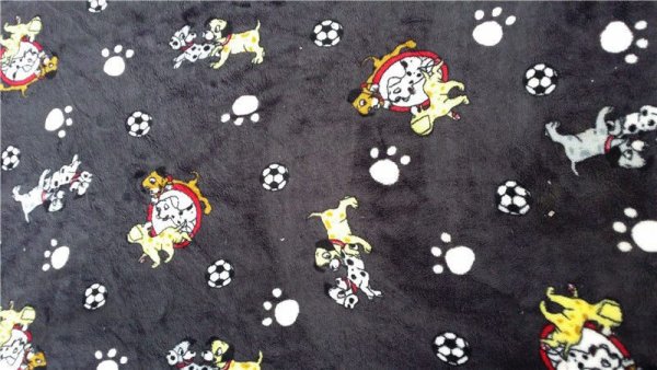 Дизайн велсофта с котами