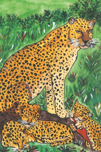 Дальневосточный леопард рисунок