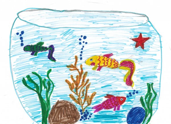 Пьеса аквариум сен Санс