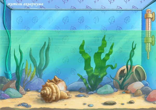 Аквариум с водорослями без рыбок