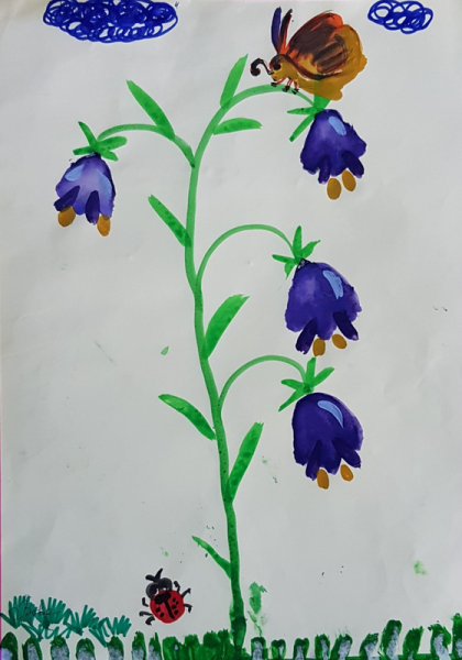 Рисунки колокольчиков цветов