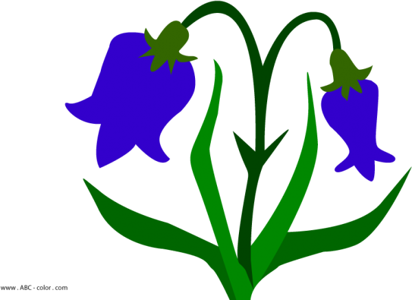 Цветы для вырезывания колокольчики
