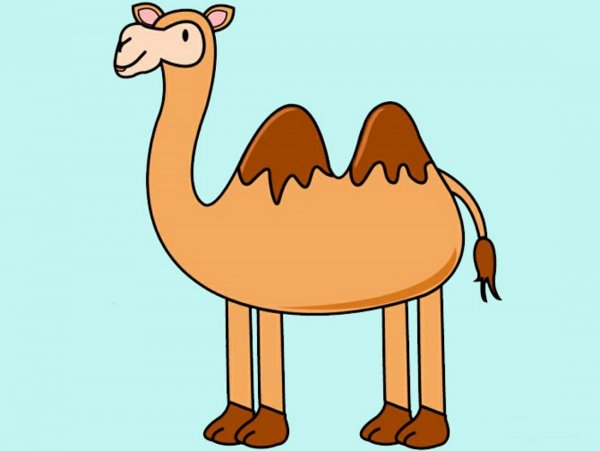 Нарисовать верблюда