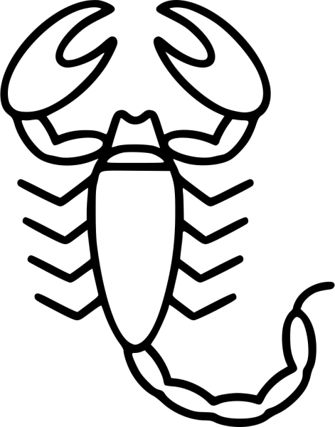 Скорпион рисунки легкие