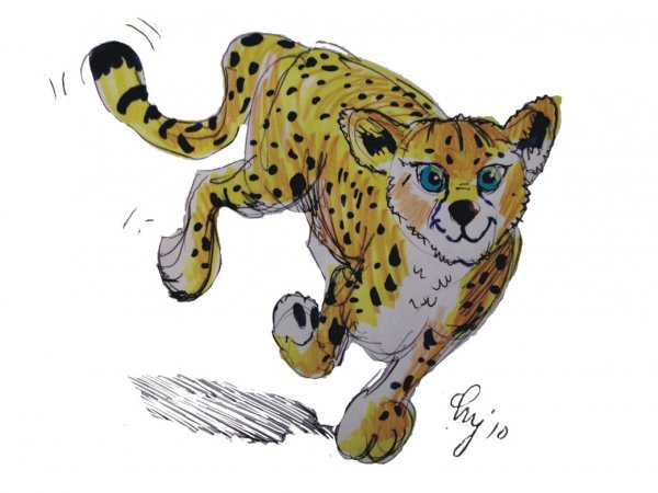 Гепард рисунок для детей