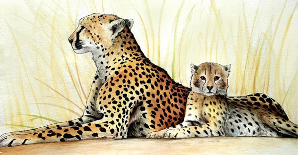 Нарисованный малыш гепарда