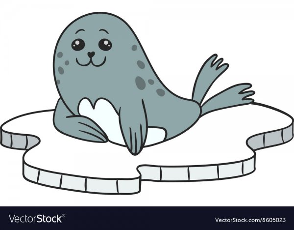 Мультяшного морского котика