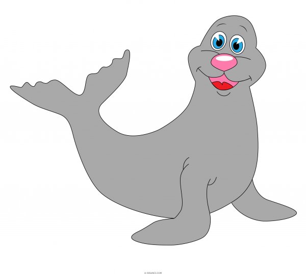 Тюлень мультяшный