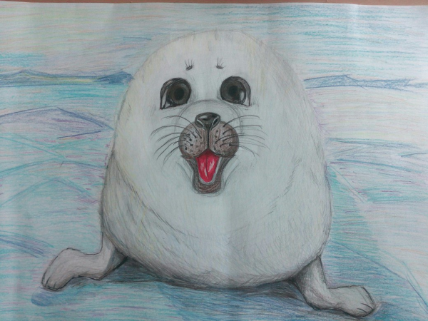 Нерпа живопись для детей