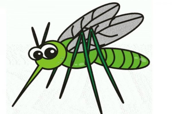 Насекомые комар для детей