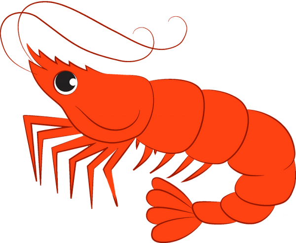 Креветка символ