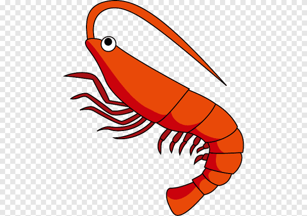 Креветка стилизованная