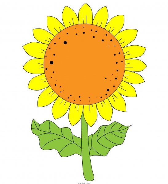 Рисование с детьми Подсолнухи