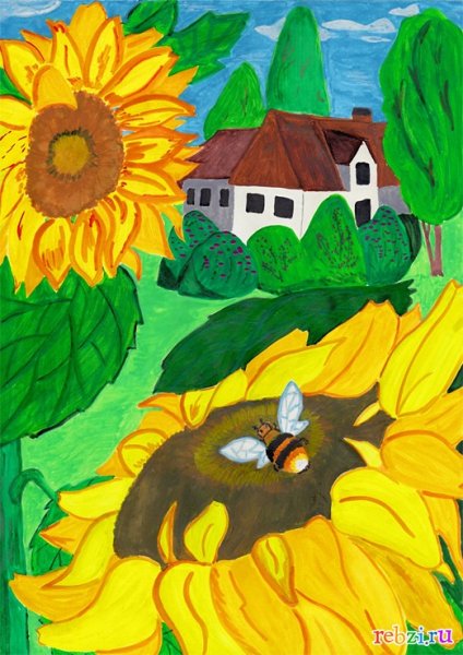 Подсолнух акварельными карандашами