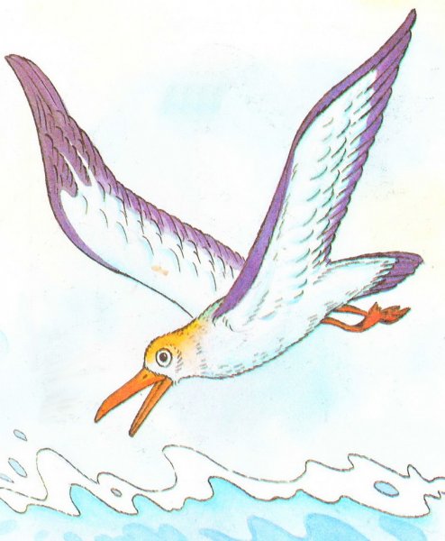 Чайка рисунок