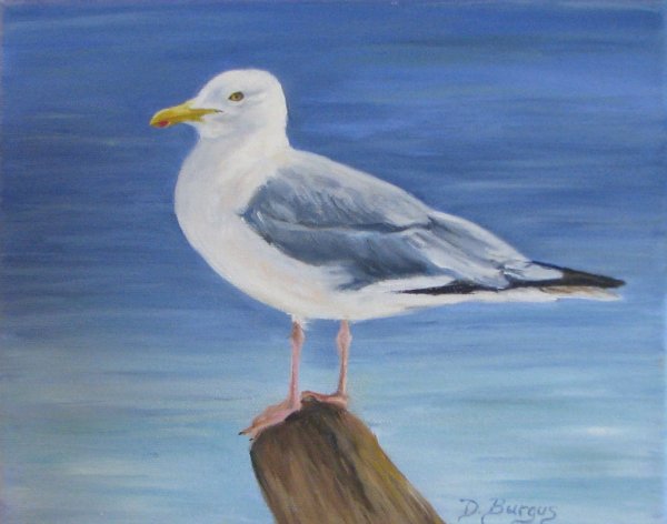 Чайка для рисования