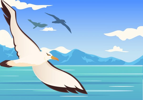 Чайки мультяшные