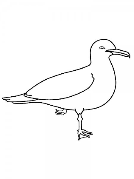 Чайки раскраска для детей