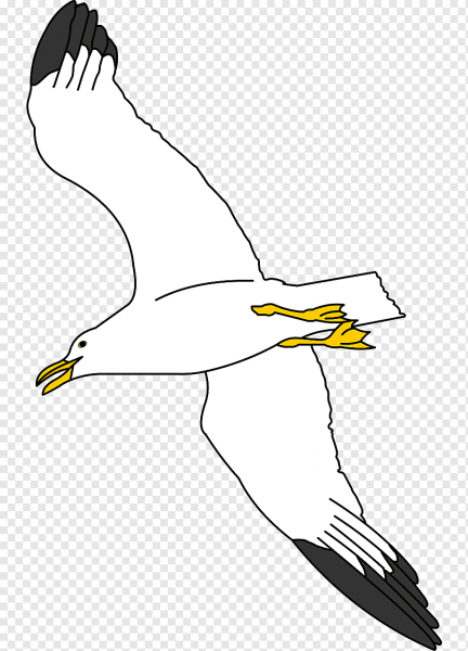 Чайки для вырезания