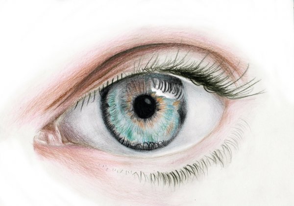Глаза для рисования для детей