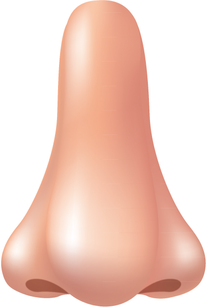 Нос мультяшный