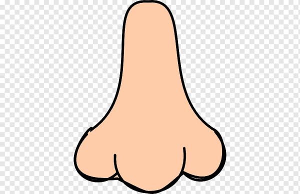 Мультяшные носы