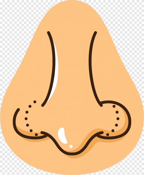 Векторный нос