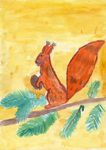 Белка рисование для детей