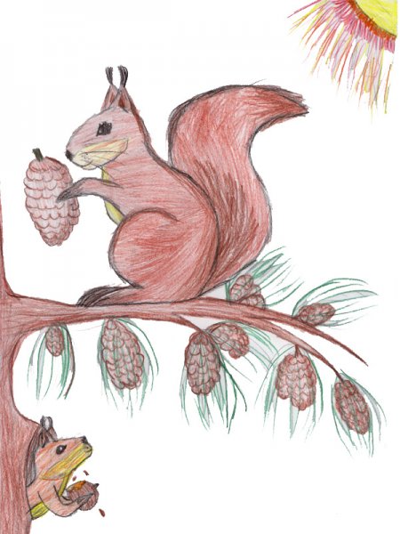 Белка рисование для детей