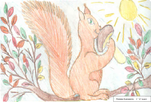 Детские рисунки белочки