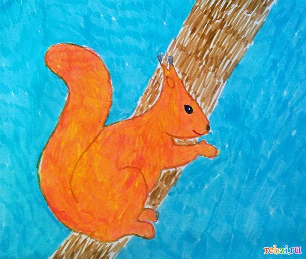 Рисование белка