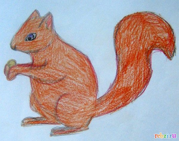 Детские рисунки белочки