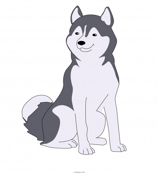 Нарисовать хаски