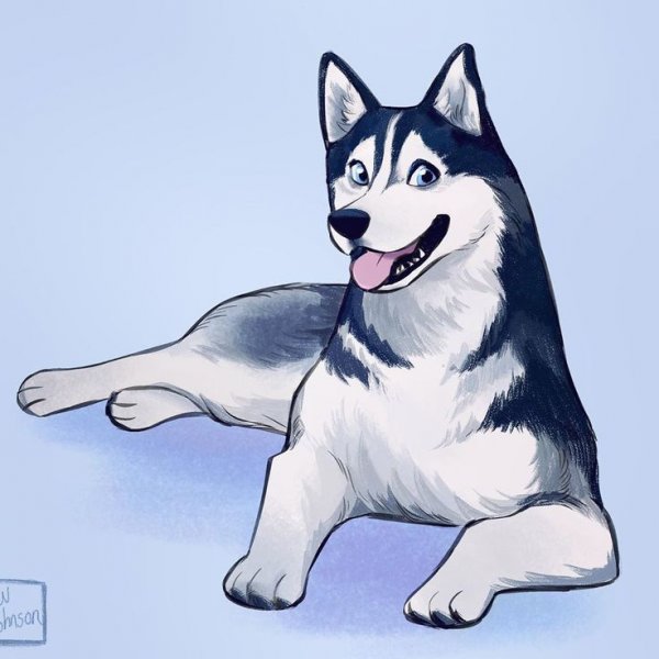 Хаски мульт