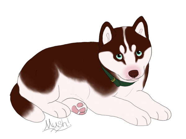 Хаски мультяшка