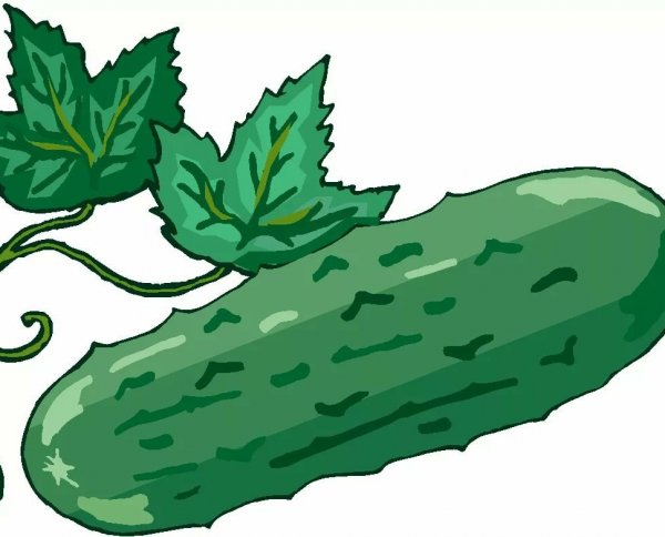 Огурец для детей на прозрачном фоне