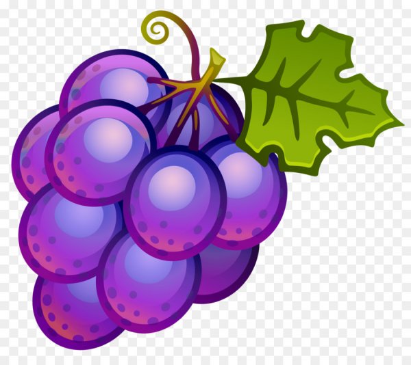 Нарисовать виноград