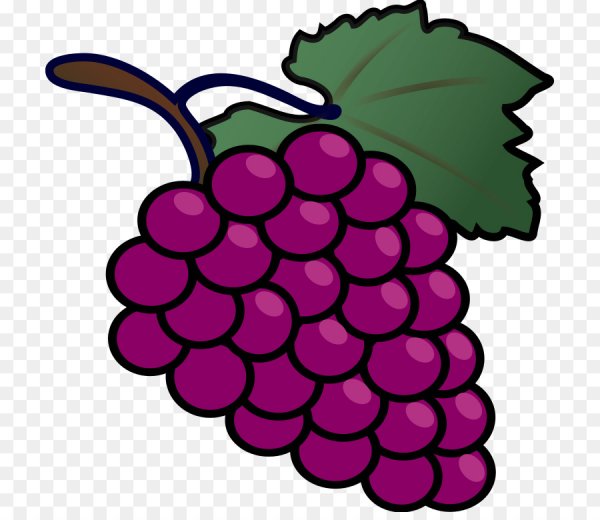 Гроздь винограда в паинте