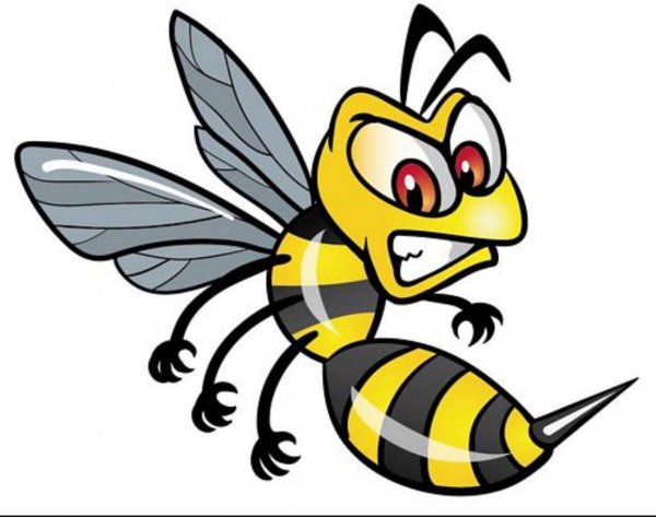 Оса для детей